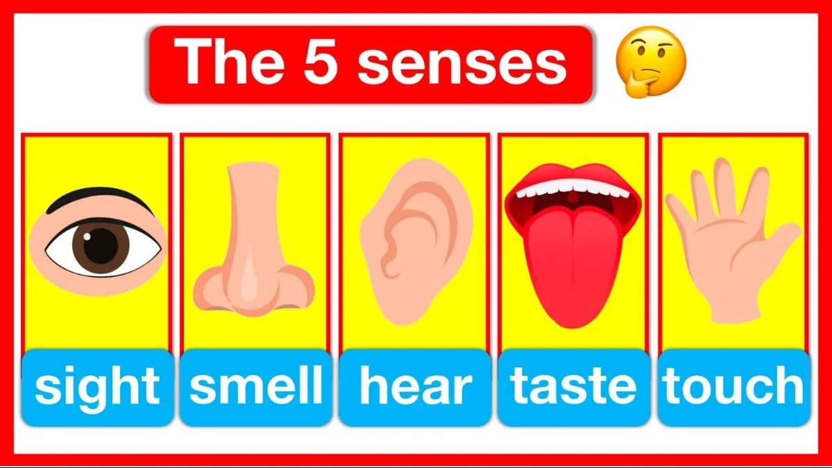 sensory language