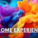 Erome Experience