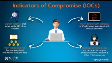 IOC in Cyber Security: Identifying Indicators of Compromise